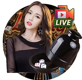 Trang chủ 310
